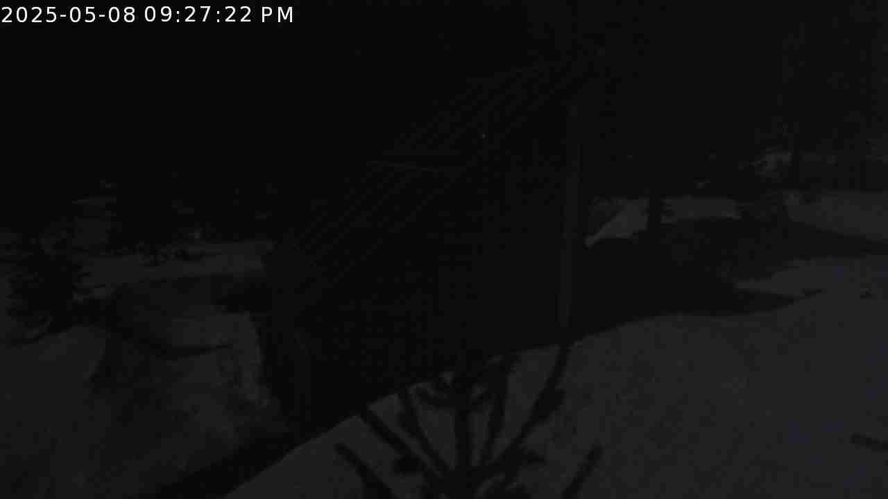 Live view from Cabin